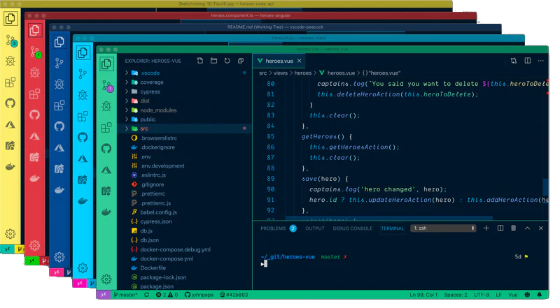 VS Code Extension Peacock